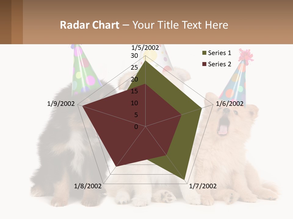 A Group Of Dogs Wearing Party Hats PowerPoint Template
