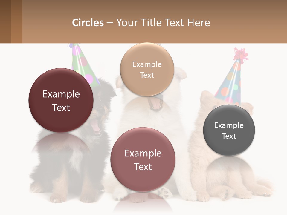A Group Of Dogs Wearing Party Hats PowerPoint Template