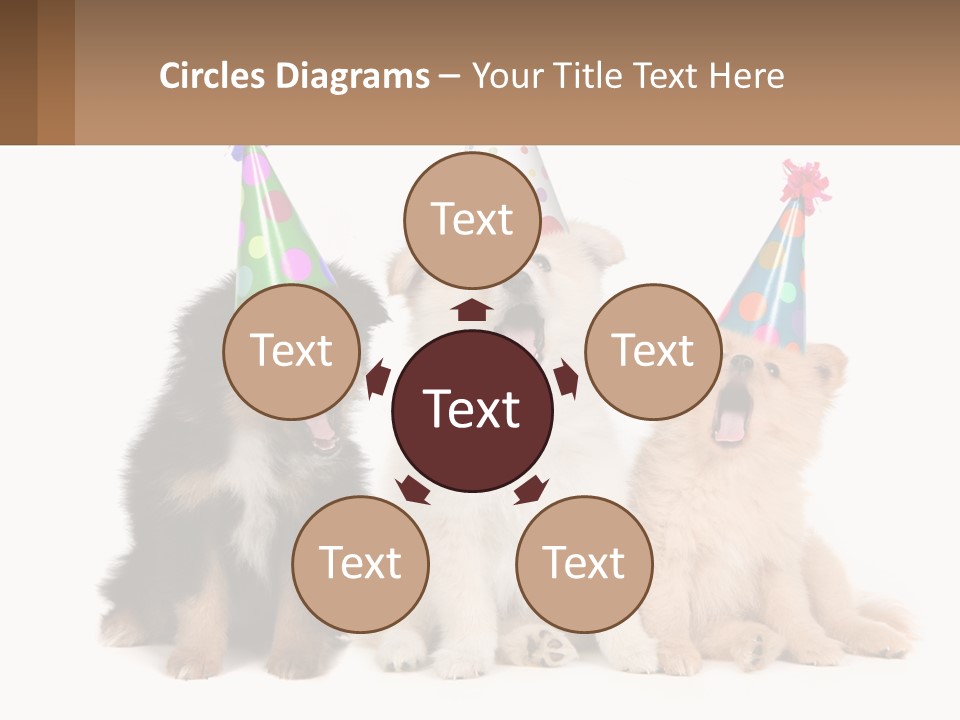 A Group Of Dogs Wearing Party Hats PowerPoint Template