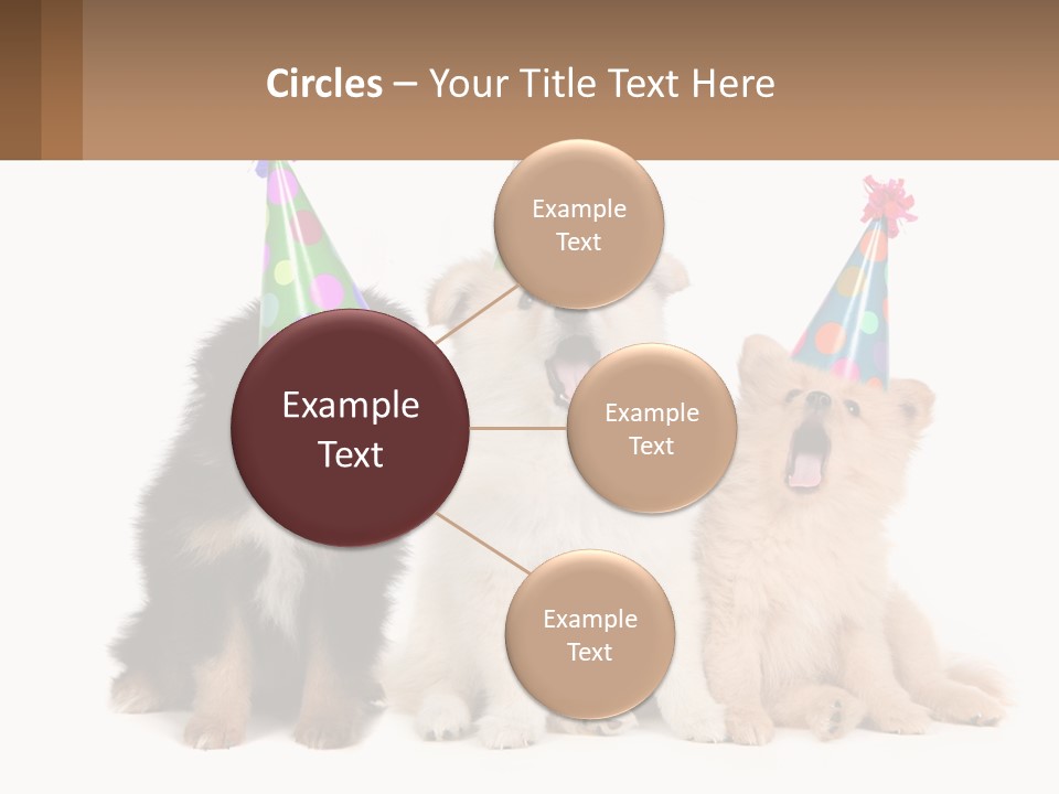 A Group Of Dogs Wearing Party Hats PowerPoint Template