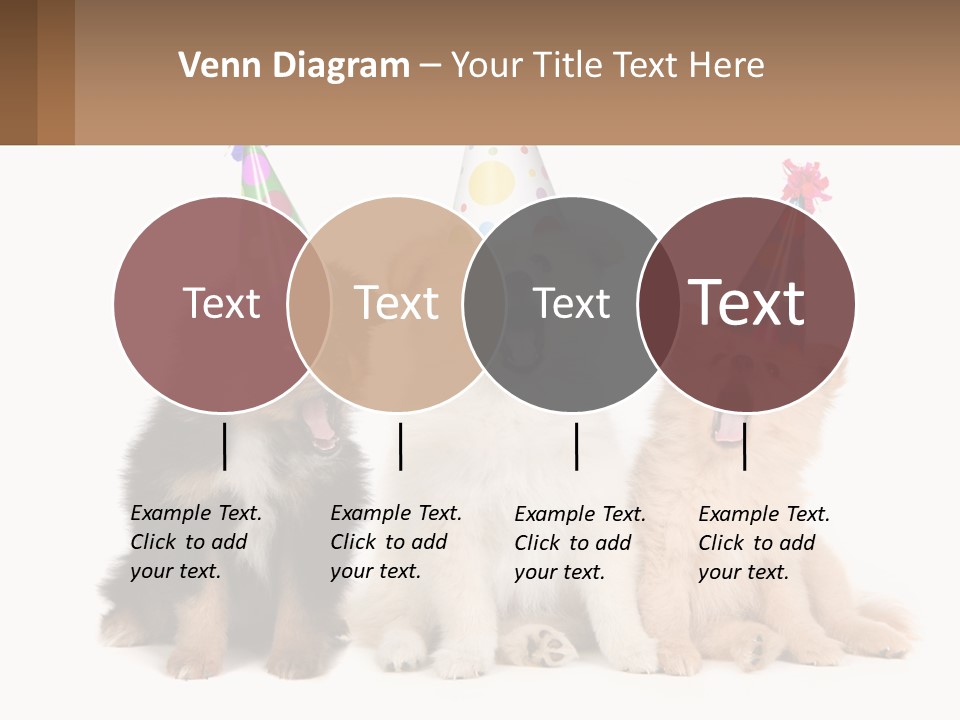 A Group Of Dogs Wearing Party Hats PowerPoint Template