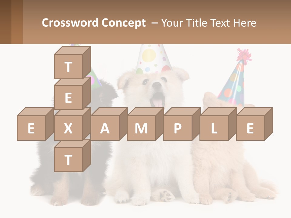 A Group Of Dogs Wearing Party Hats PowerPoint Template