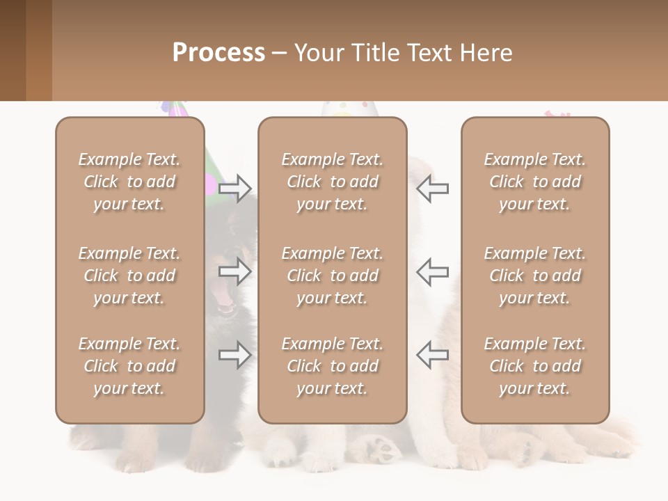 A Group Of Dogs Wearing Party Hats PowerPoint Template