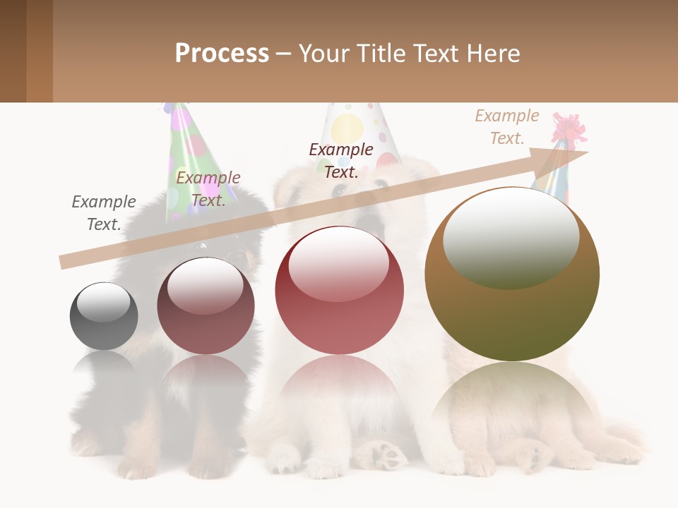 A Group Of Dogs Wearing Party Hats PowerPoint Template