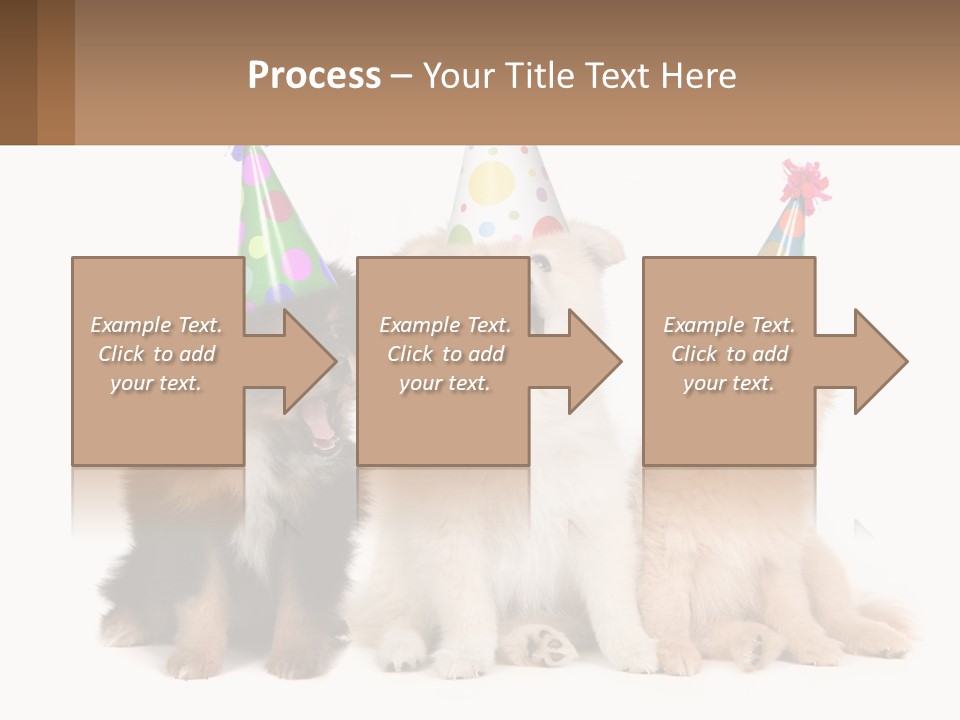 A Group Of Dogs Wearing Party Hats PowerPoint Template
