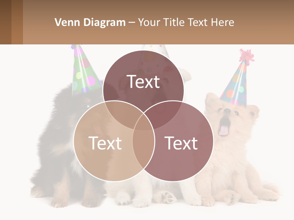 A Group Of Dogs Wearing Party Hats PowerPoint Template