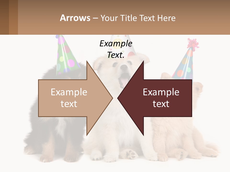 A Group Of Dogs Wearing Party Hats PowerPoint Template