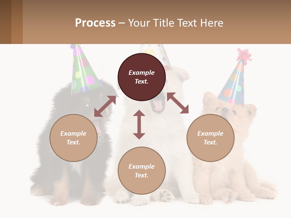 A Group Of Dogs Wearing Party Hats PowerPoint Template