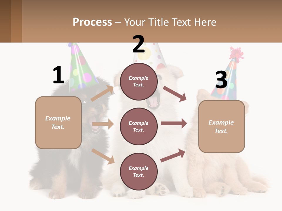 A Group Of Dogs Wearing Party Hats PowerPoint Template