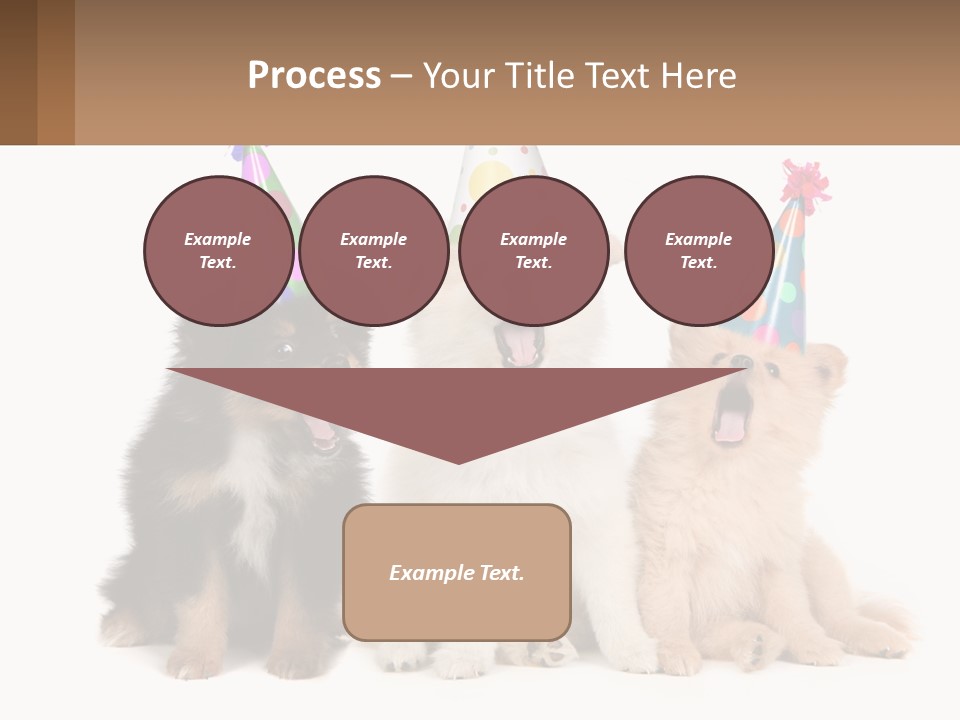 A Group Of Dogs Wearing Party Hats PowerPoint Template