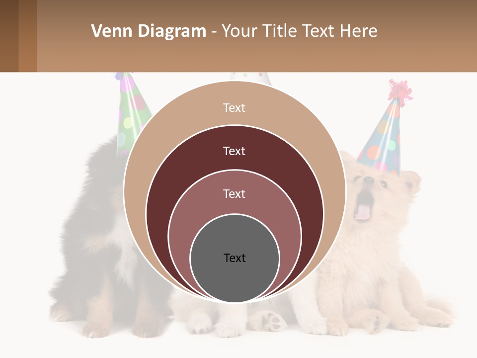 A Group Of Dogs Wearing Party Hats PowerPoint Template