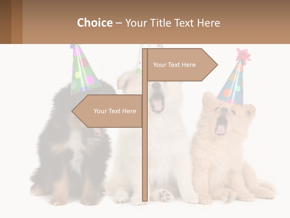 A Group Of Dogs Wearing Party Hats PowerPoint Template