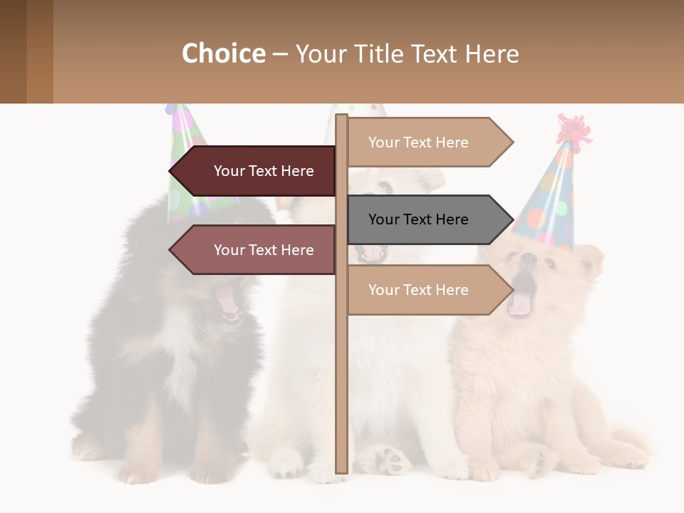 A Group Of Dogs Wearing Party Hats PowerPoint Template