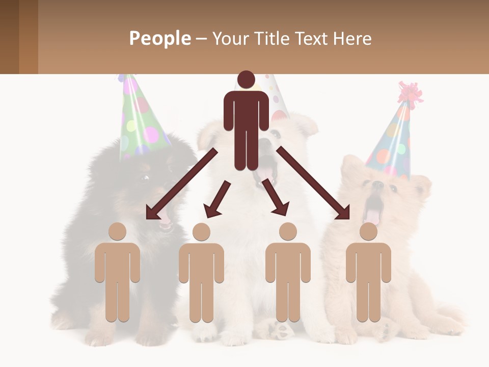 A Group Of Dogs Wearing Party Hats PowerPoint Template