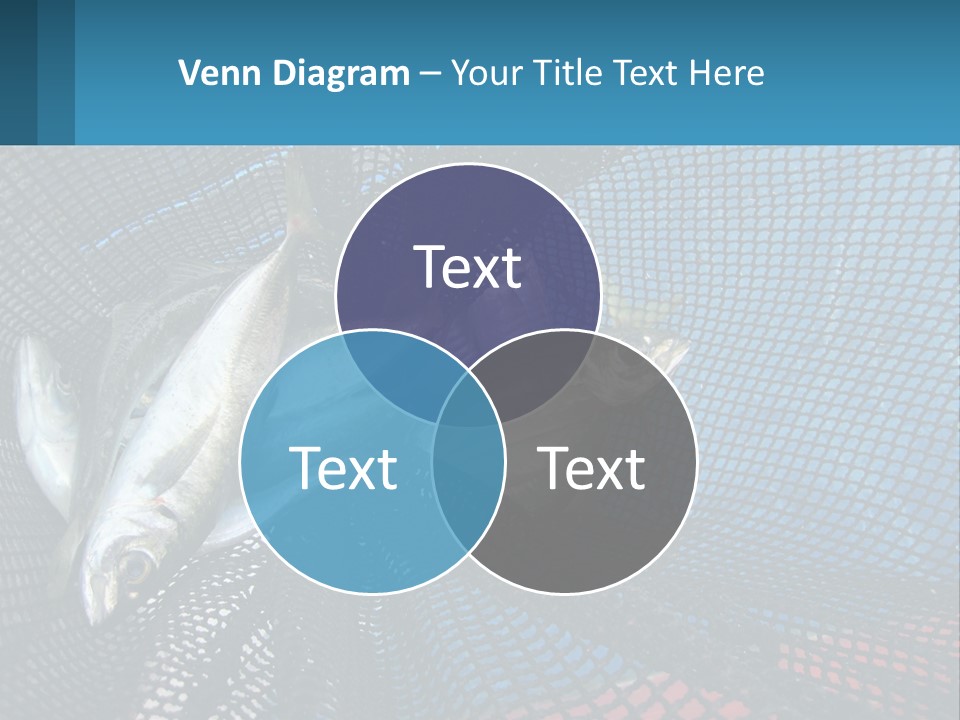 A Group Of Fish In A Net Powerpoint Presentation PowerPoint Template