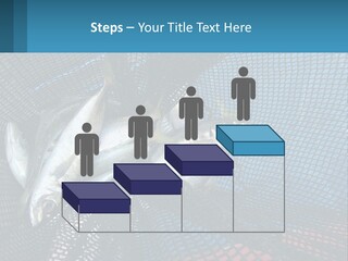 A Group Of Fish In A Net Powerpoint Presentation PowerPoint Template