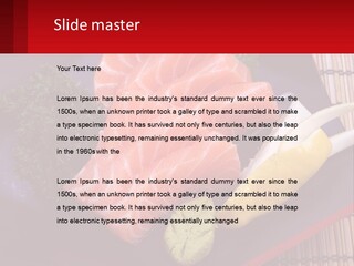 A Plate Of Fish And Vegetables On A Table PowerPoint Template