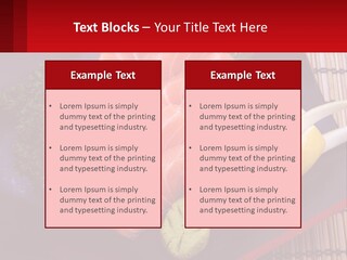 A Plate Of Fish And Vegetables On A Table PowerPoint Template