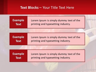 A Plate Of Fish And Vegetables On A Table PowerPoint Template