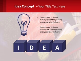 A Plate Of Fish And Vegetables On A Table PowerPoint Template