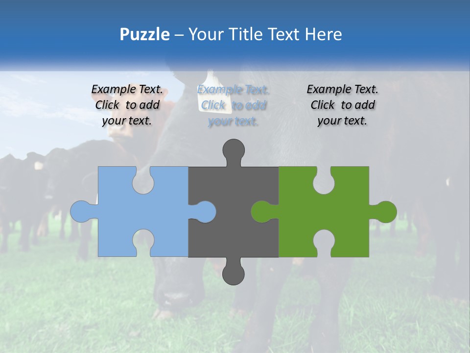 A Herd Of Cattle Standing On Top Of A Lush Green Field PowerPoint Template