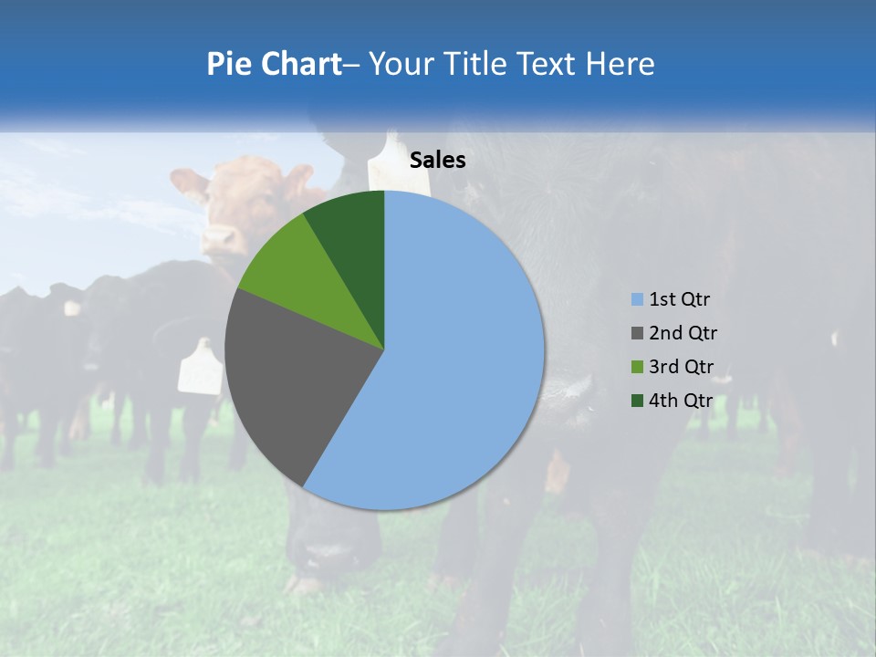 A Herd Of Cattle Standing On Top Of A Lush Green Field PowerPoint Template