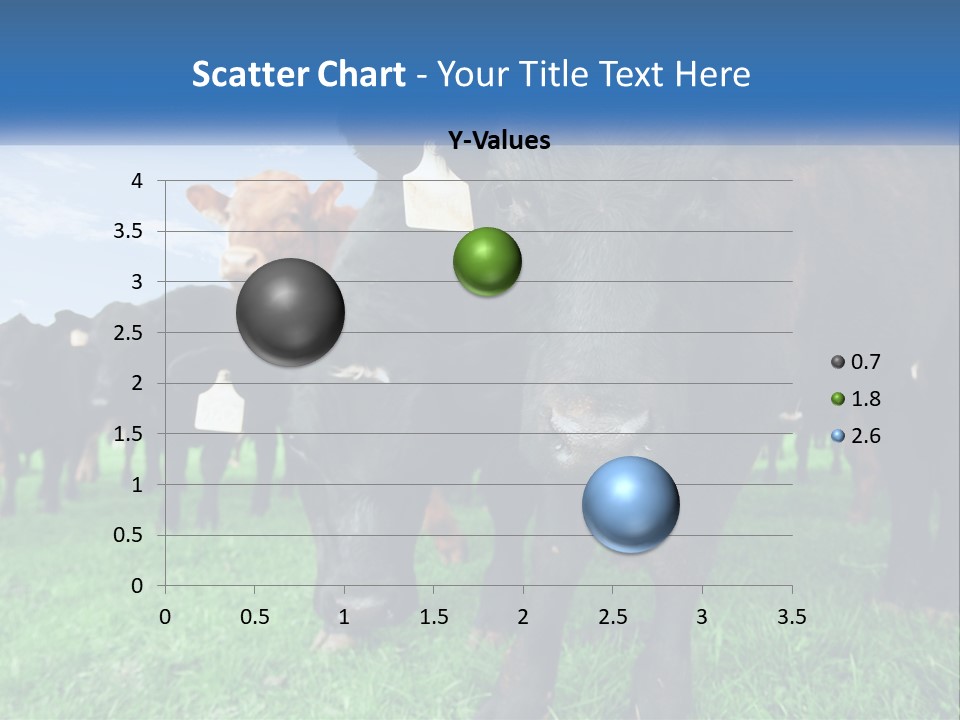 A Herd Of Cattle Standing On Top Of A Lush Green Field PowerPoint Template