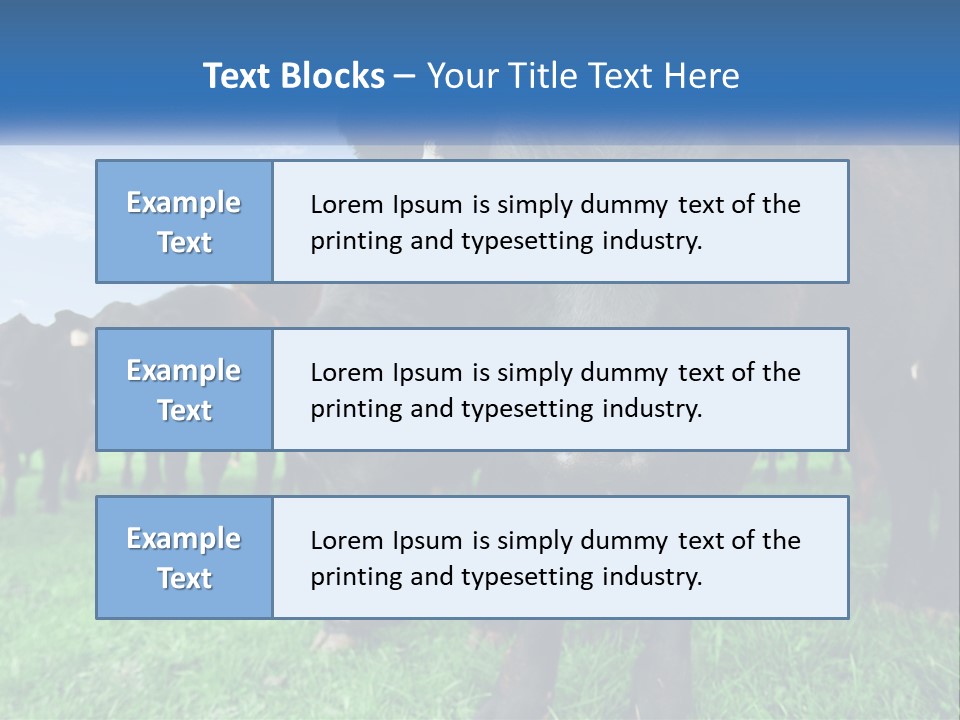 A Herd Of Cattle Standing On Top Of A Lush Green Field PowerPoint Template