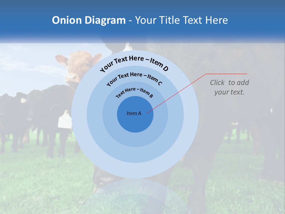 A Herd Of Cattle Standing On Top Of A Lush Green Field PowerPoint Template