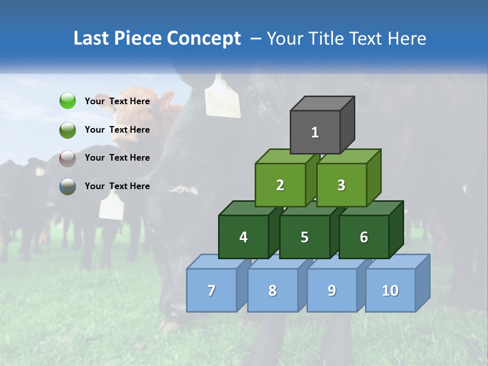 A Herd Of Cattle Standing On Top Of A Lush Green Field PowerPoint Template