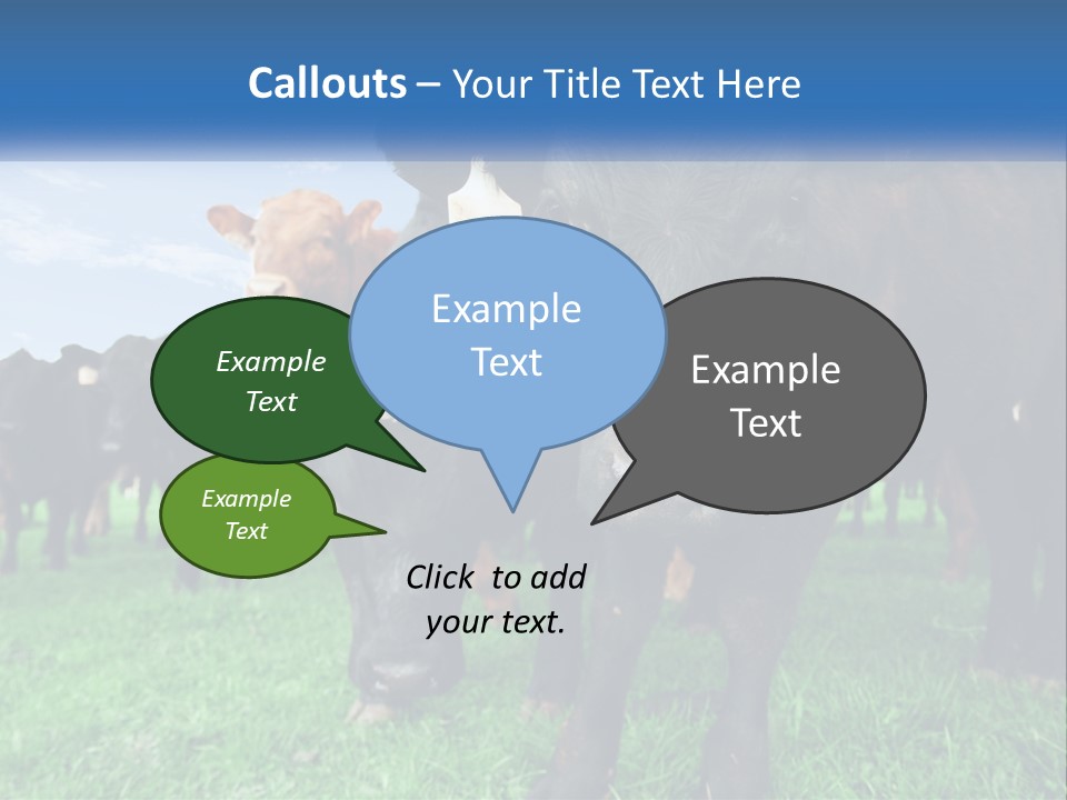A Herd Of Cattle Standing On Top Of A Lush Green Field PowerPoint Template