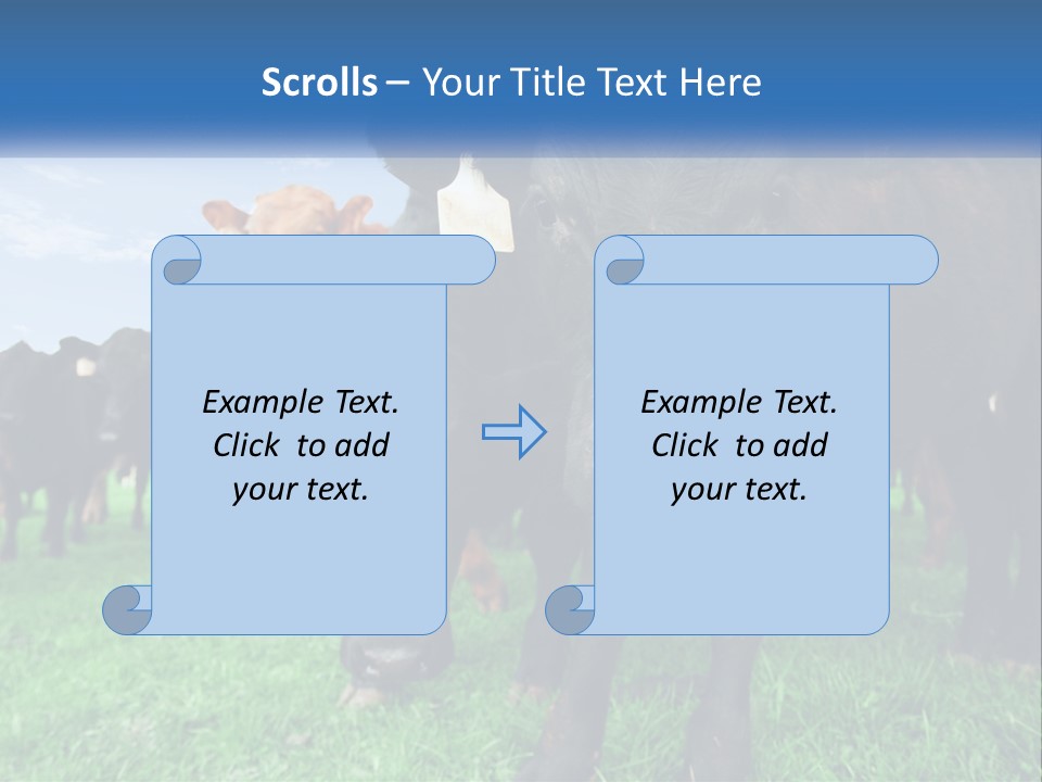 A Herd Of Cattle Standing On Top Of A Lush Green Field PowerPoint Template