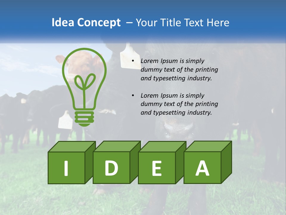 A Herd Of Cattle Standing On Top Of A Lush Green Field PowerPoint Template