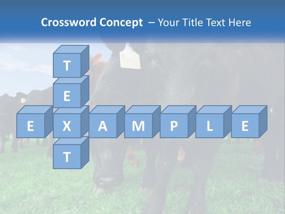 A Herd Of Cattle Standing On Top Of A Lush Green Field PowerPoint Template