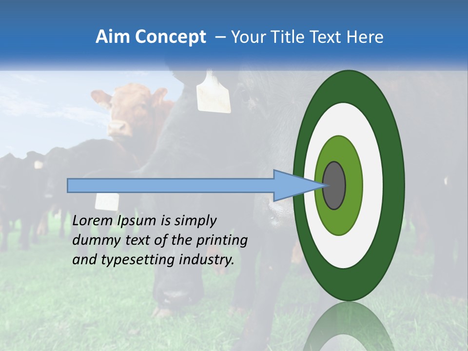 A Herd Of Cattle Standing On Top Of A Lush Green Field PowerPoint Template