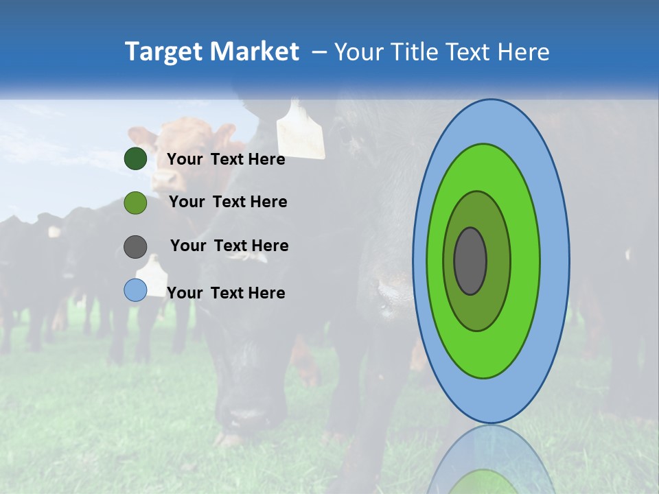 A Herd Of Cattle Standing On Top Of A Lush Green Field PowerPoint Template