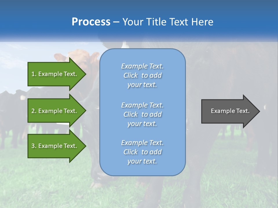 A Herd Of Cattle Standing On Top Of A Lush Green Field PowerPoint Template