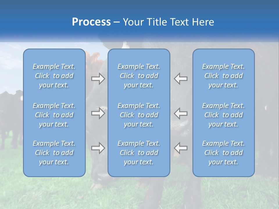 A Herd Of Cattle Standing On Top Of A Lush Green Field PowerPoint Template