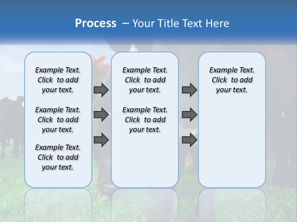 A Herd Of Cattle Standing On Top Of A Lush Green Field PowerPoint Template