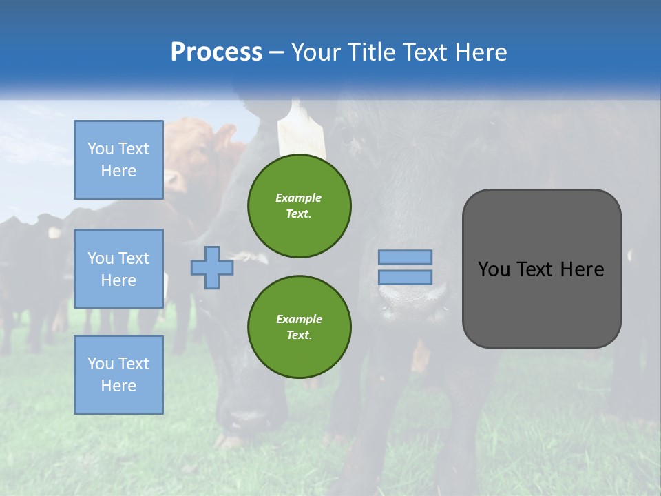 A Herd Of Cattle Standing On Top Of A Lush Green Field PowerPoint Template