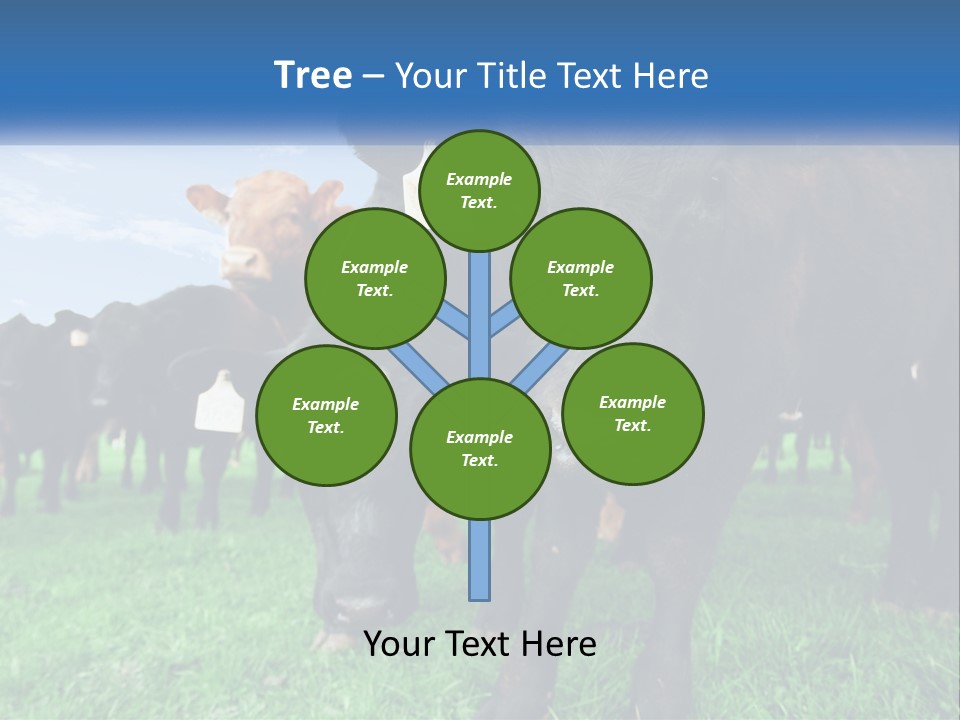 A Herd Of Cattle Standing On Top Of A Lush Green Field PowerPoint Template
