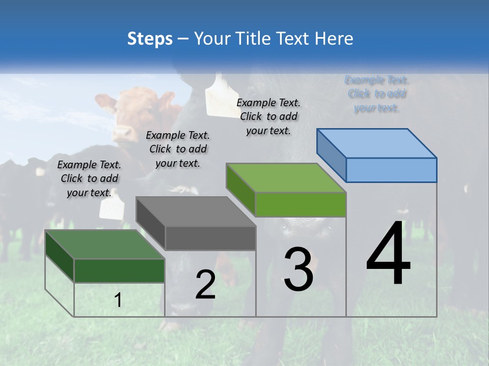 A Herd Of Cattle Standing On Top Of A Lush Green Field PowerPoint Template