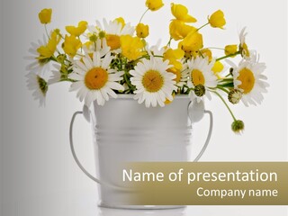 A White Bucket Filled With Yellow And White Flowers PowerPoint Template