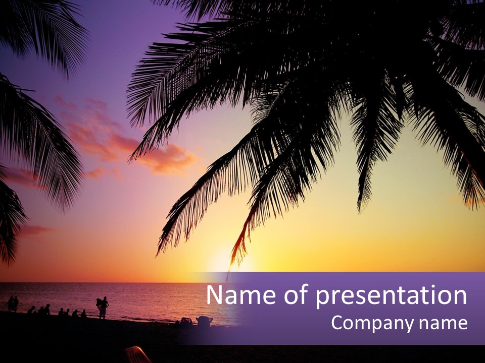 A Palm Tree With The Sun Setting In The Background PowerPoint Template