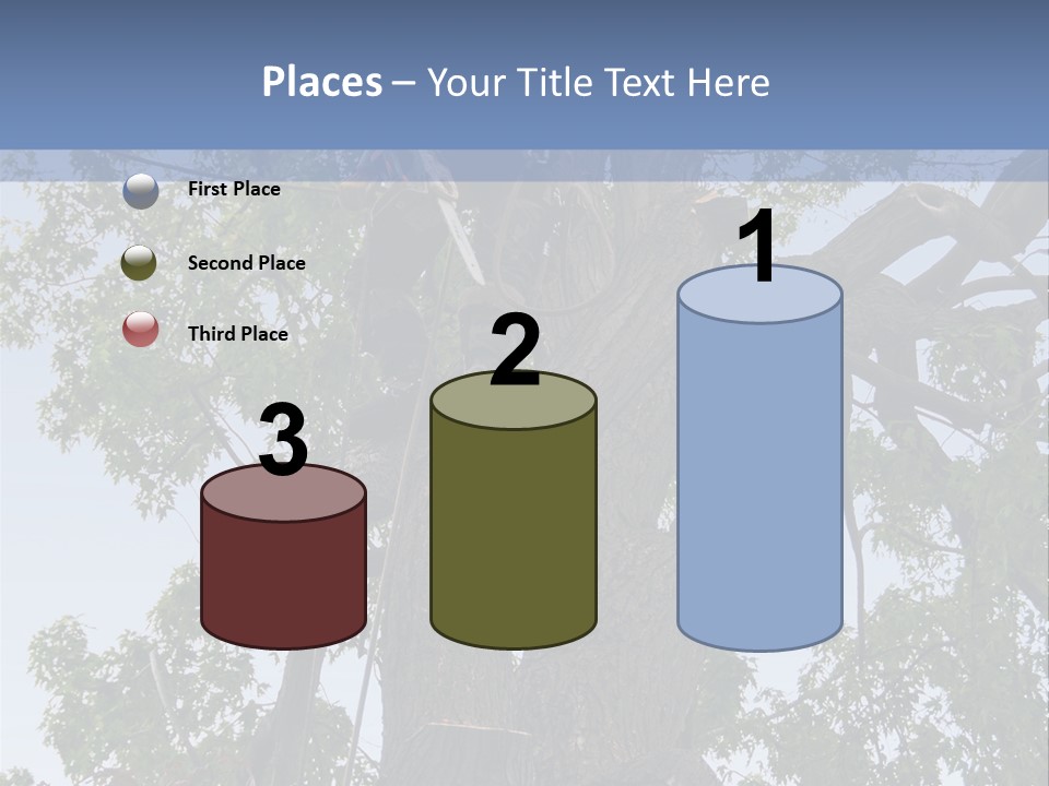 A Man Is Climbing Up A Tree With A Harness PowerPoint Template