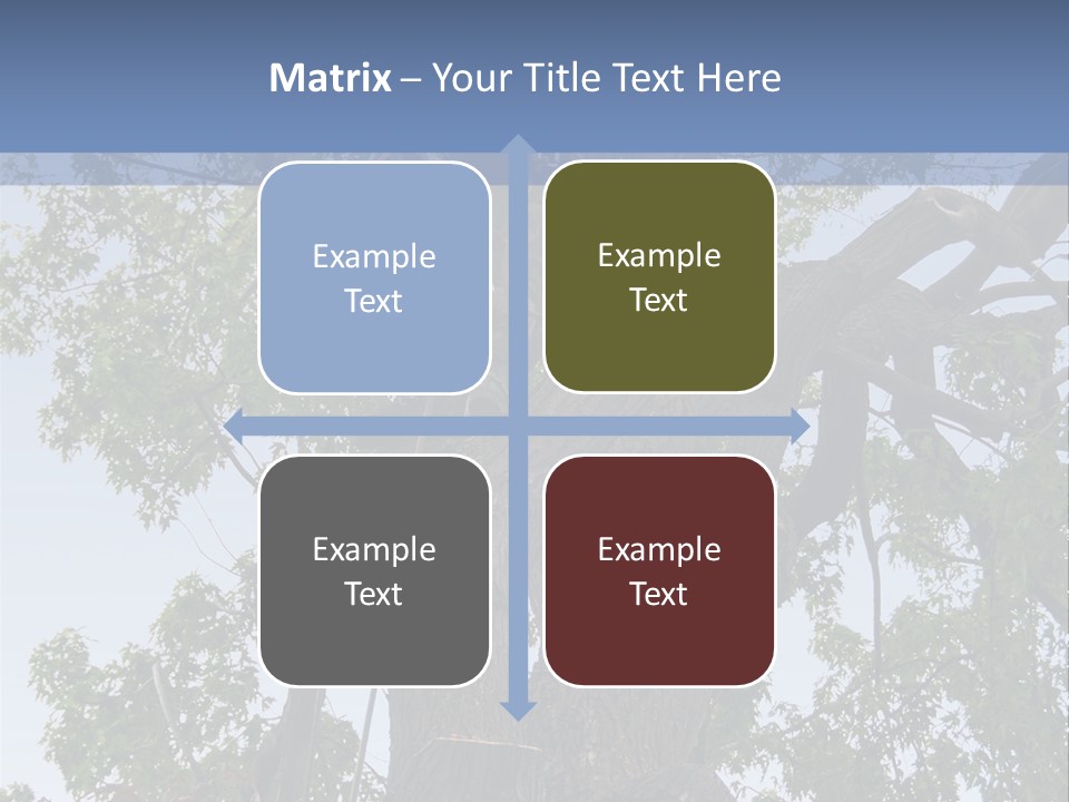 A Man Is Climbing Up A Tree With A Harness PowerPoint Template