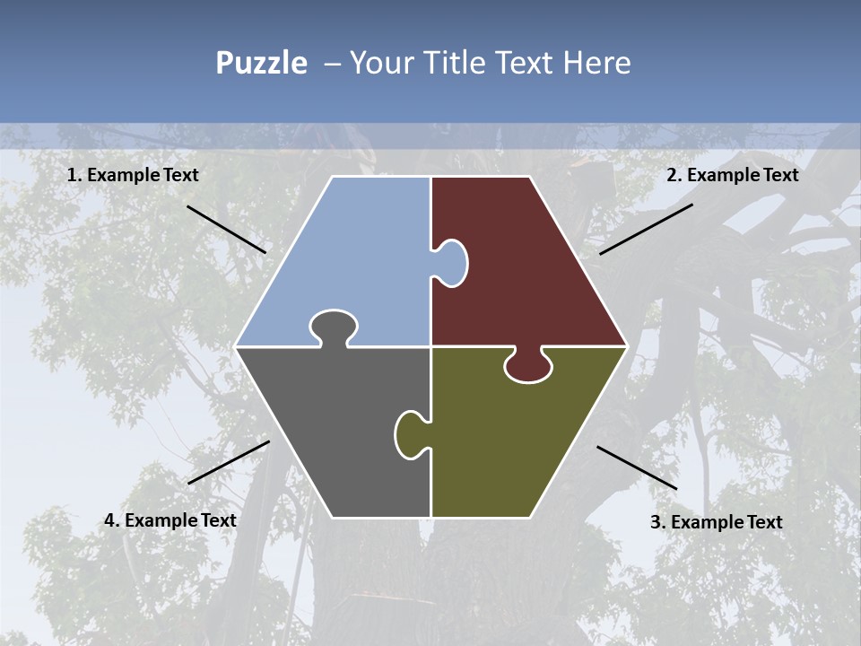 A Man Is Climbing Up A Tree With A Harness PowerPoint Template