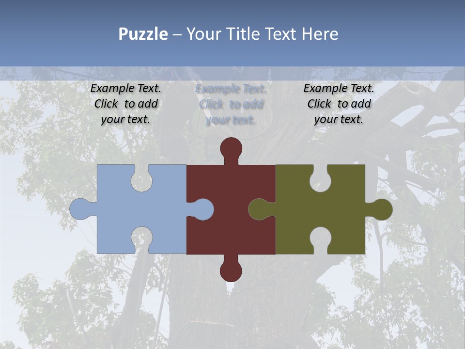 A Man Is Climbing Up A Tree With A Harness PowerPoint Template