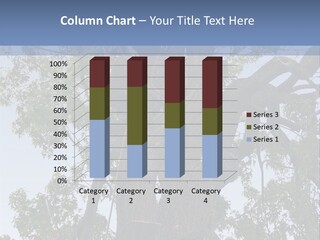 A Man Is Climbing Up A Tree With A Harness PowerPoint Template