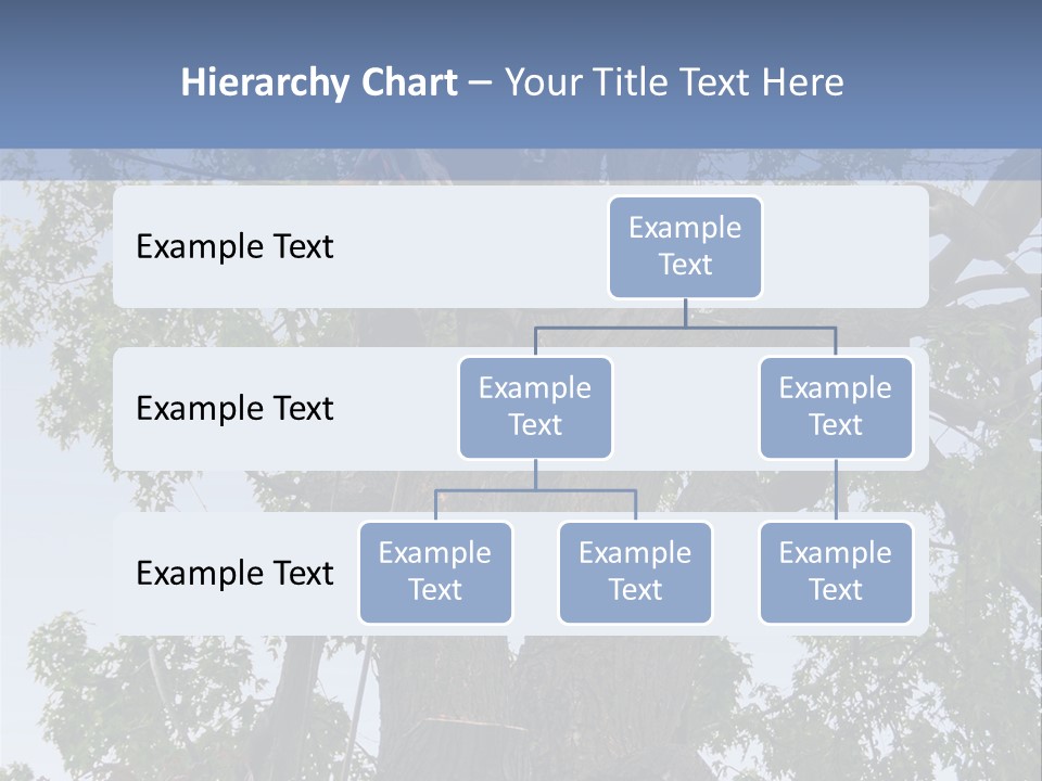 A Man Is Climbing Up A Tree With A Harness PowerPoint Template